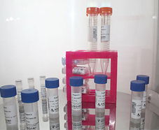 引進美國生物工程前沿技術，打造高科技生物制品研發(fā)新生態(tài)